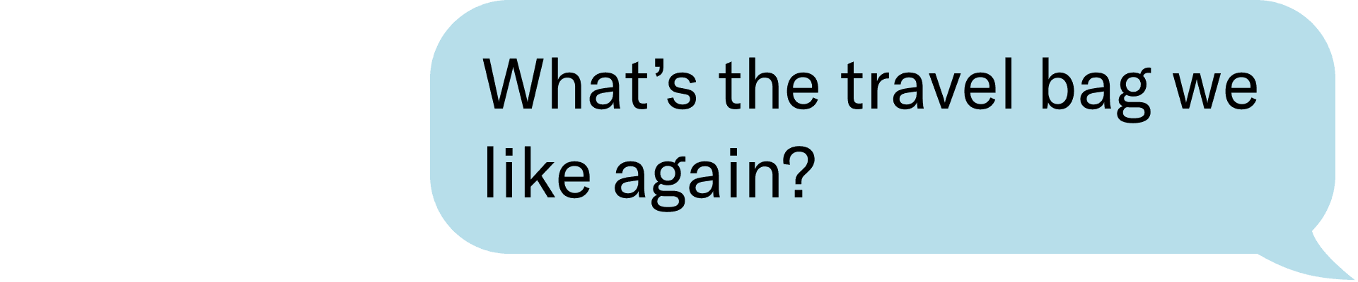 What's the travel bag we like again?