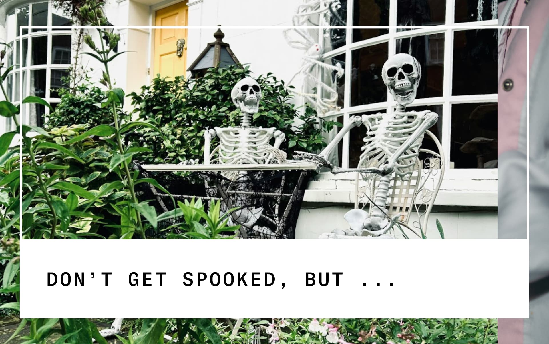 skeletons