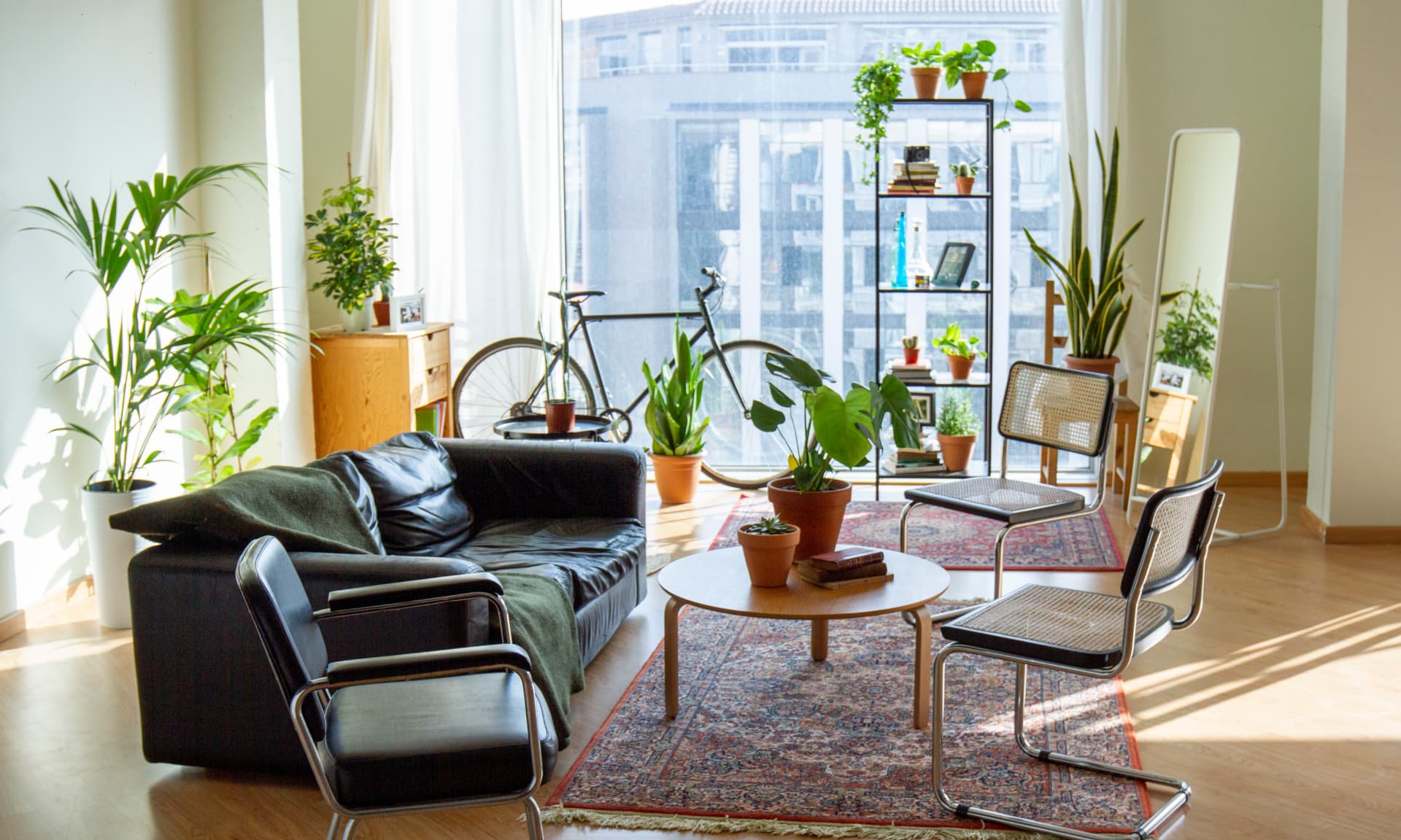 Cozy living room at industrial loft open space with plants