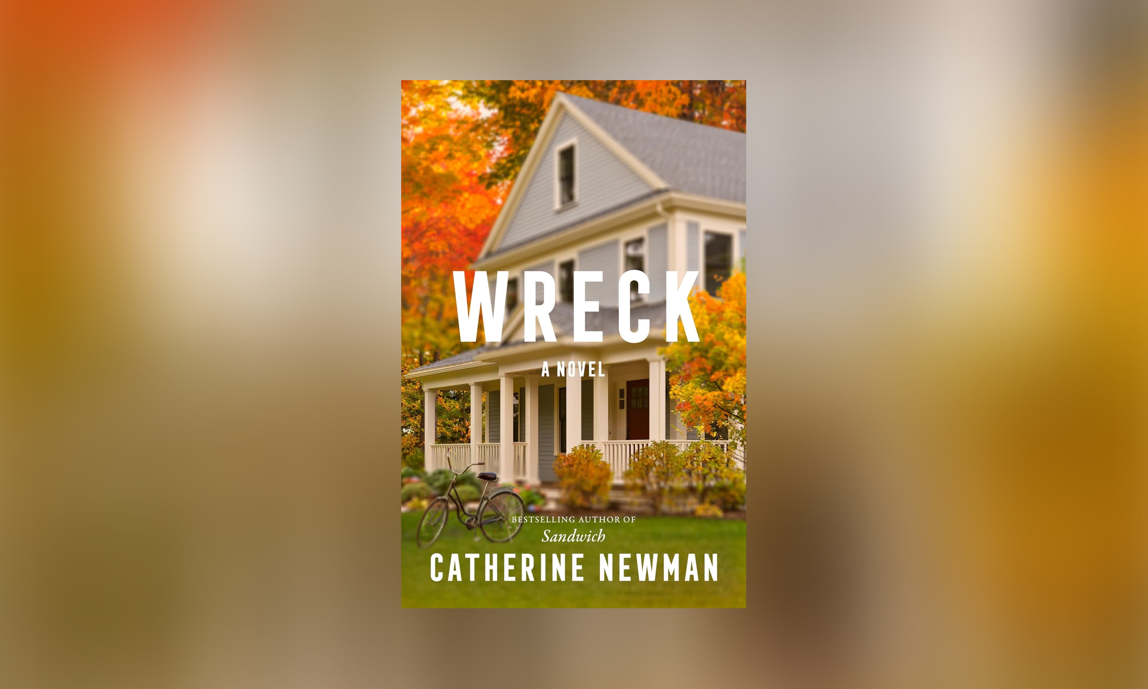 Wreck by Catherine Newman